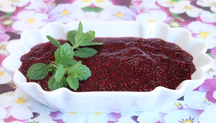 Rezept Chia Gruetze lowcarb ketogen